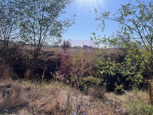 Teren Cornetu Strada Magnoliei- Pinului.